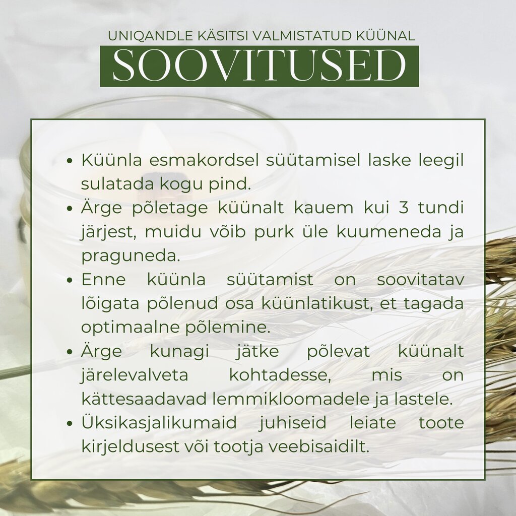 UniQandle sojavaha küünlad Dessertviinamarjad - Rohelise Tee Pidu, 2 tk hind ja info | Küünlad, küünlajalad | kaup24.ee