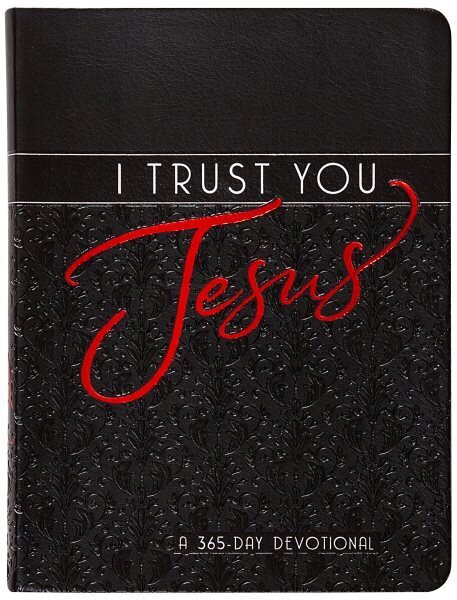 I Trust You Jesus: A 365-Day Devotional цена и информация | Usukirjandus, religioossed raamatud | kaup24.ee