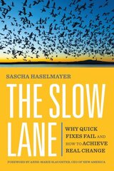 Slow Lane: Why Quick Fixes Fail and How to Achieve Real Change цена и информация | Книги по экономике | kaup24.ee