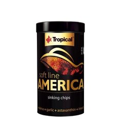 TROPICAL Soft Line America Size L - корм для аквариумных рыб - 100 мл/52 г цена и информация | Корм для живой рыбы | kaup24.ee