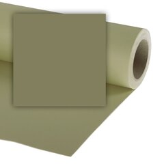 Colorama paberfoon 2,72x11, leaf (197) цена и информация | Осветительное оборудование для фотосъемок | kaup24.ee