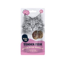 Kitty Joy Tender Grilled Mackerel naturaalne maius kassile, 25g цена и информация | Лакомства для котов | kaup24.ee