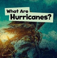 What Are Hurricanes? hind ja info | Noortekirjandus | kaup24.ee