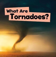 What Are Tornadoes? цена и информация | Книги для подростков и молодежи | kaup24.ee