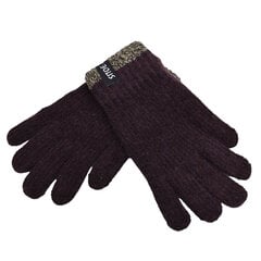 Перчатки для детей цена и информация | Шапки, перчатки, шарфы для мальчиков | kaup24.ee