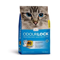 Наполнитель для кошачьего туалета без запаха Intersand OdourLock Multi-Cat, 12 кг цена и информация | Наполнители для туалета | kaup24.ee