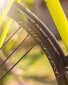 Jalgrattarehv Vittoria Rubino Pro TLR Fold 700x28c, 28", must hind ja info | Jalgratta sisekummid ja rehvid | kaup24.ee