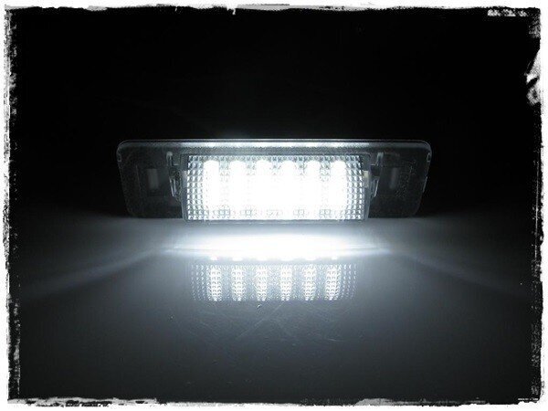 LED numbrimärgi valgustus 6000K Mercedes W210 1995-2003, Mercedes W202 FL 1997-2000 hind ja info | Autopirnid | kaup24.ee