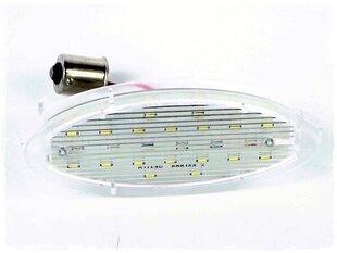 LED numbrimärgi valgustus 6000K Opel Astra F FL, Astra G Bertone, Corsa B, Vectra B цена и информация | Автомобильные лампочки | kaup24.ee