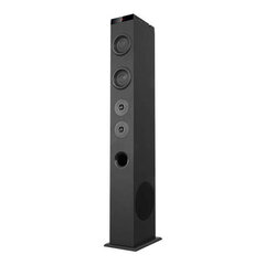 Avenzo AV-ST4001B hind ja info | Koduaudio ja 