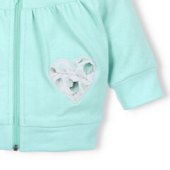 блузка для девочки цена и информация | Кофточки, джемперы, пиджаки для младенцев | kaup24.ee
