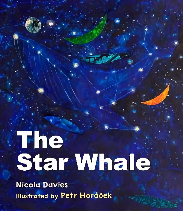 Star Whale цена и информация | Noortekirjandus | kaup24.ee