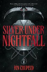 Silver Under Nightfall: The most exciting gothic romantasy you'll read all year! hind ja info | Fantaasia, müstika | kaup24.ee