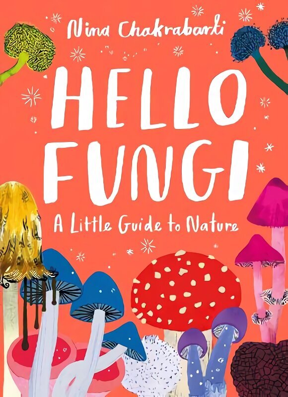 Little Guides to Nature: Hello Fungi: A Little Guide to Nature hind ja info | Noortekirjandus | kaup24.ee