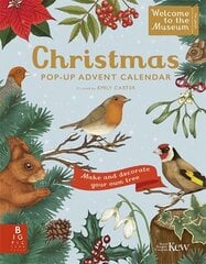 Welcome to the Museum: A Christmas Pop-Up Advent Calendar цена и информация | Книги для подростков и молодежи | kaup24.ee