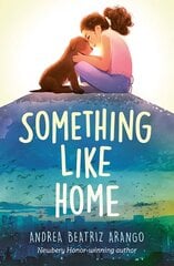 Something Like Home цена и информация | Книги для подростков и молодежи | kaup24.ee