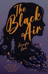 Black Air цена и информация | Книги для подростков и молодежи | kaup24.ee