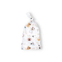 Шапочка для мальчика ABN-3598-038 цена и информация | Шапки, перчатки, шарфики для новорожденных | kaup24.ee