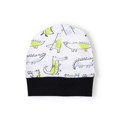 шапочка для мальчика цена и информация | Шапки, перчатки, шарфики для новорожденных | kaup24.ee