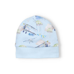 детская шапка для мальчика цена и информация | Шапки, перчатки, шарфики для новорожденных | kaup24.ee