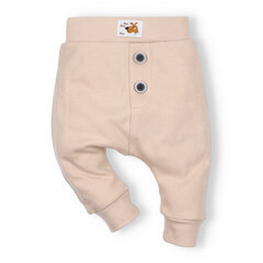 Штаны для мальчика ABN-3593-098 цена и информация | Штаны для младенцев | kaup24.ee