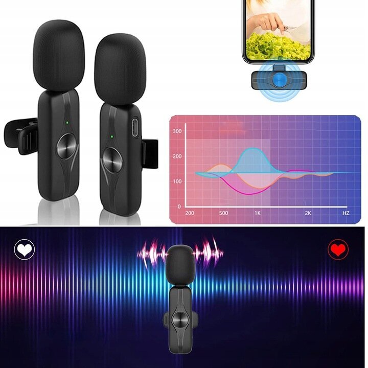 Bedee Plug-play mikrofon, 2 tk цена и информация | Mikrofonid | kaup24.ee