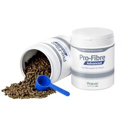 Toidulisand koertele Protexin Pro-Fibre Advanced, 500 g hind ja info | Toidulisandid ja parasiitide vastased tooted | kaup24.ee