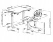 Kirjutuslaud ja tool FunDesk, roosa цена и информация | Laste lauad ja toolid | kaup24.ee