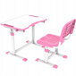 Kirjutuslaud ja tool FunDesk, roosa hind ja info | Laste lauad ja toolid | kaup24.ee