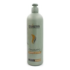 Šampoon PH 5,5 Exitenn hind ja info | Šampoonid | kaup24.ee