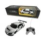 Raadioteel juhitav auto Audi R8 цена и информация | Poiste mänguasjad | kaup24.ee