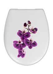 Aeglaselt sulguv WC-poti kaas Cedo Carolina Beach Orchid SC Eco hind ja info | WC-poti tarvikud | kaup24.ee