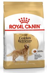 Kuivtoit Royal Canin kuldsetele retriiveritele Adult, 12 kg hind ja info | Kuivtoit koertele | kaup24.ee