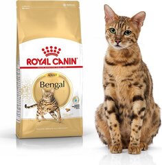 Royal Canin корм для кошек породы Бенгальские Bengal Adult, 0,4 кг цена и информация | Сухой корм для кошек | kaup24.ee