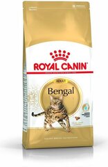 Royal Canin Bengali tõugu kassidele Bengal Adult, 10 kg цена и информация | Сухой корм для кошек | kaup24.ee