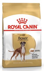 Royal Canin для боксеров Boxer,12 кг цена и информация | Сухой корм для собак | kaup24.ee