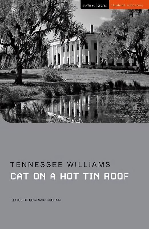 Cat on a Hot Tin Roof 2nd edition hind ja info | Lühijutud, novellid | kaup24.ee