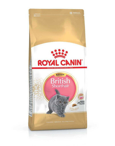 Royal Canin Briti lühikarvalistele kassipoegadele, 10 kg цена и информация | Kuivtoit kassidele | kaup24.ee