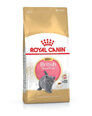 Royal Canin корм для короткошерстных Британских котят, 2 кг