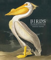 Birds: The Art of Ornithology (Pocket edition) hind ja info | Tervislik eluviis ja toitumine | kaup24.ee