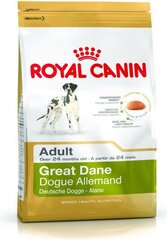 Kuivtoit Royal Canin dogi tõule Great Dane, 12 kg цена и информация | Сухой корм для собак | kaup24.ee