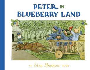 Peter in Blueberry Land 2nd Revised edition цена и информация | Книги для малышей | kaup24.ee