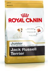 Royal Canin Jack Russell terjerite kutsikatele, 3 kg цена и информация | Сухой корм для собак | kaup24.ee