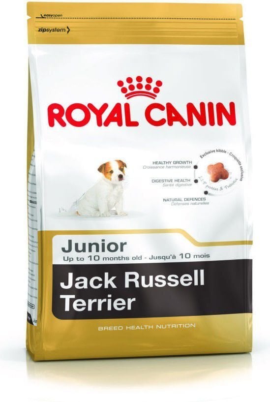 Royal Canin Jack Russell terjerite kutsikatele, 3 kg hind ja info | Kuivtoit koertele | kaup24.ee