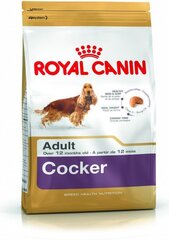 Royal Canin для кокер спаниелей Cocker Adult, 12 кг цена и информация | Сухой корм для собак | kaup24.ee