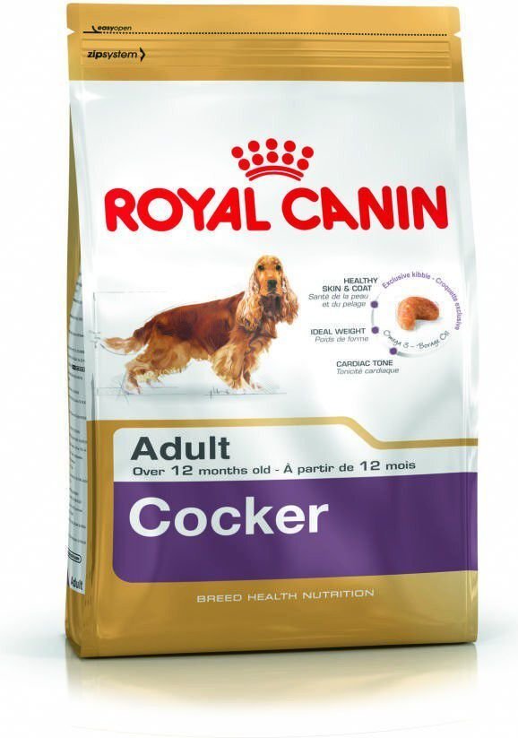 Kuivtoit Royal Canin kokkerspanjelitele Cocker Adult, 12 kg hind ja info | Kuivtoit koertele | kaup24.ee