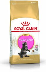 Royal Canin для породы котят Мейн Кун, 0,4 кг цена и информация | Сухой корм для кошек | kaup24.ee