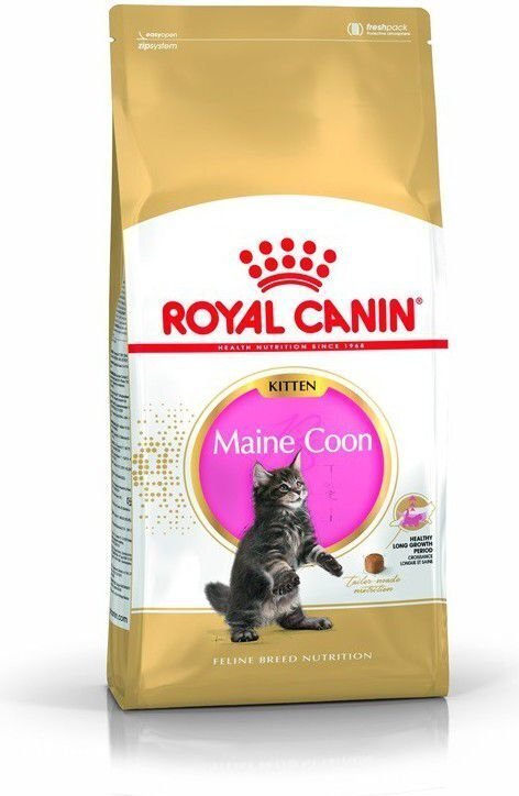 Royal Canin Meini tõugu kassipoegadele, 0.4 kg цена и информация | Kuivtoit kassidele | kaup24.ee