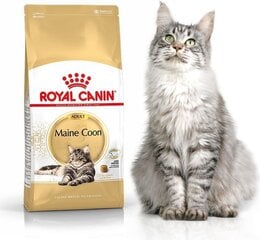 Royal Canin корм для породы кошек Мейн Кун, 10 кг цена и информация | Royal Canin Товары для животных | kaup24.ee