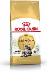 Royal Canin корм для породы кошек Мейн Кун, 10 кг цена и информация | Royal Canin Товары для животных | kaup24.ee